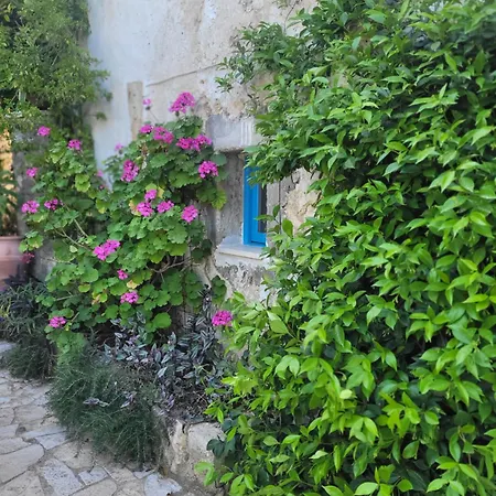 Bakola * Σύβρος