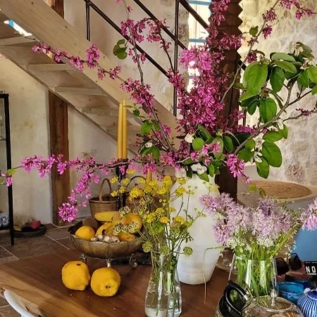 Bakola Villa Sívros